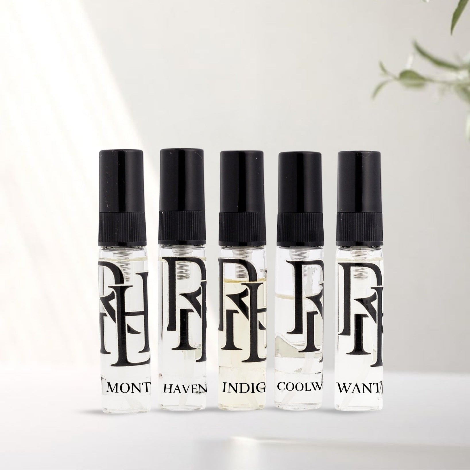 Pack of 5 (MEN ESSENTIAL)